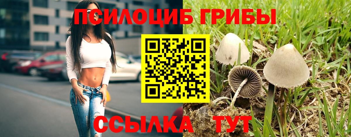 Галлюциногенные грибы Magic Shrooms Сарапул